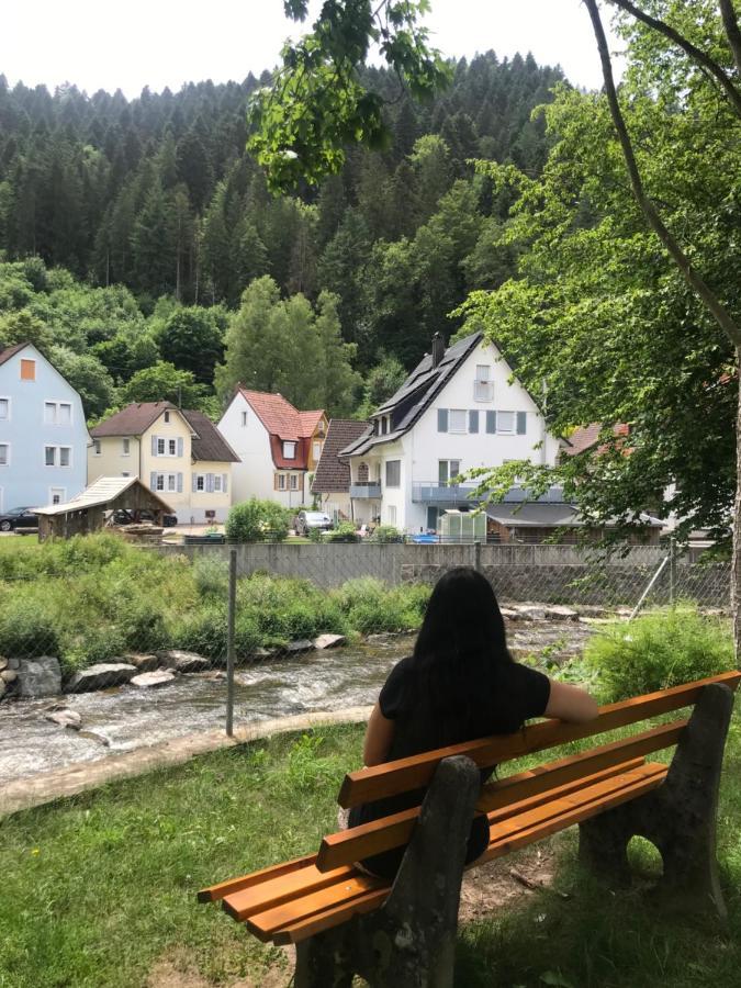 S-Villa Apartments Im Schwarzwald Schiltach Zewnętrze zdjęcie