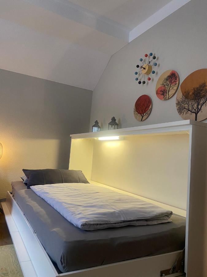 S-Villa Apartments Im Schwarzwald Schiltach Zewnętrze zdjęcie