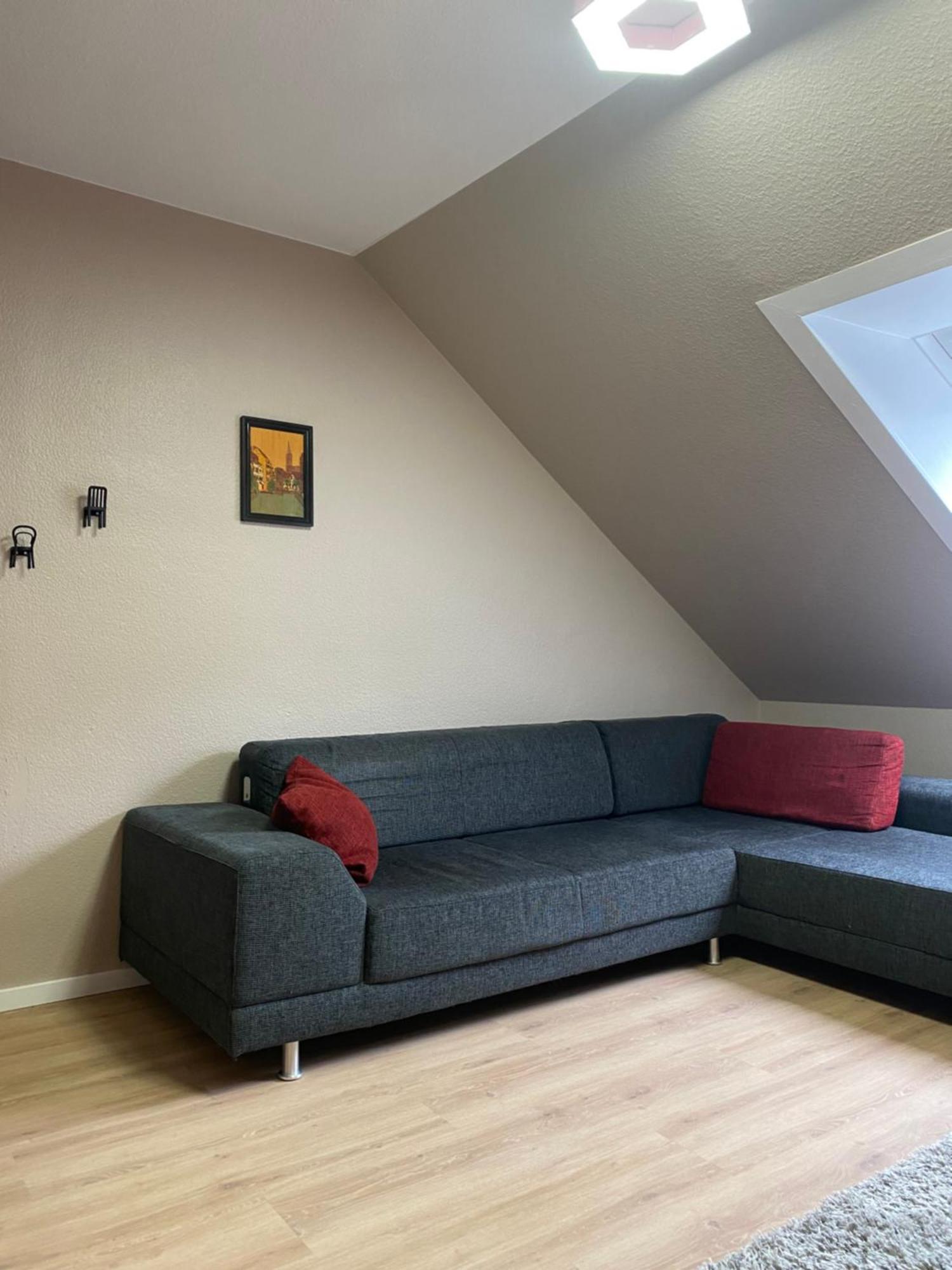 S-Villa Apartments Im Schwarzwald Schiltach Zewnętrze zdjęcie
