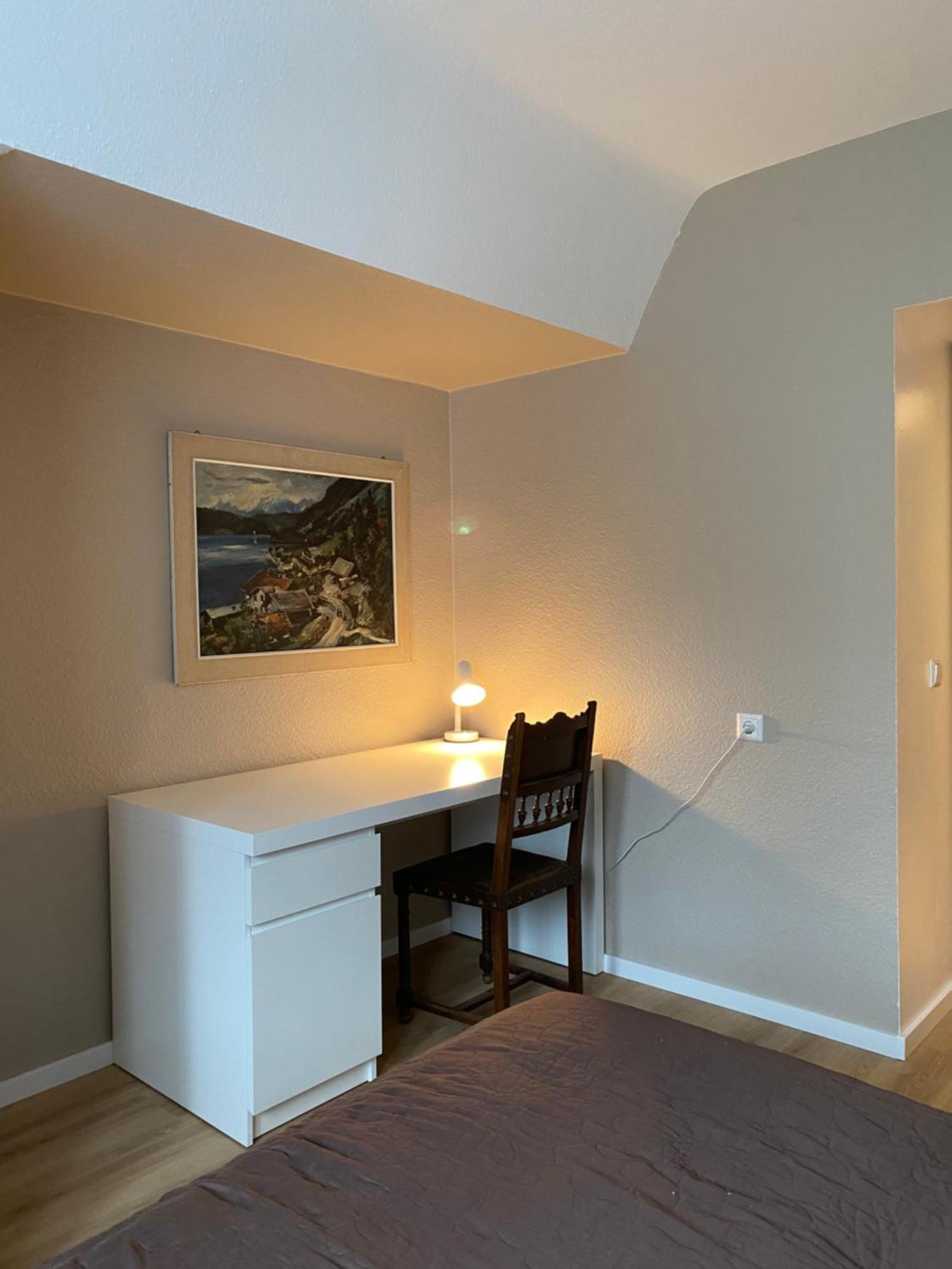 S-Villa Apartments Im Schwarzwald Schiltach Zewnętrze zdjęcie