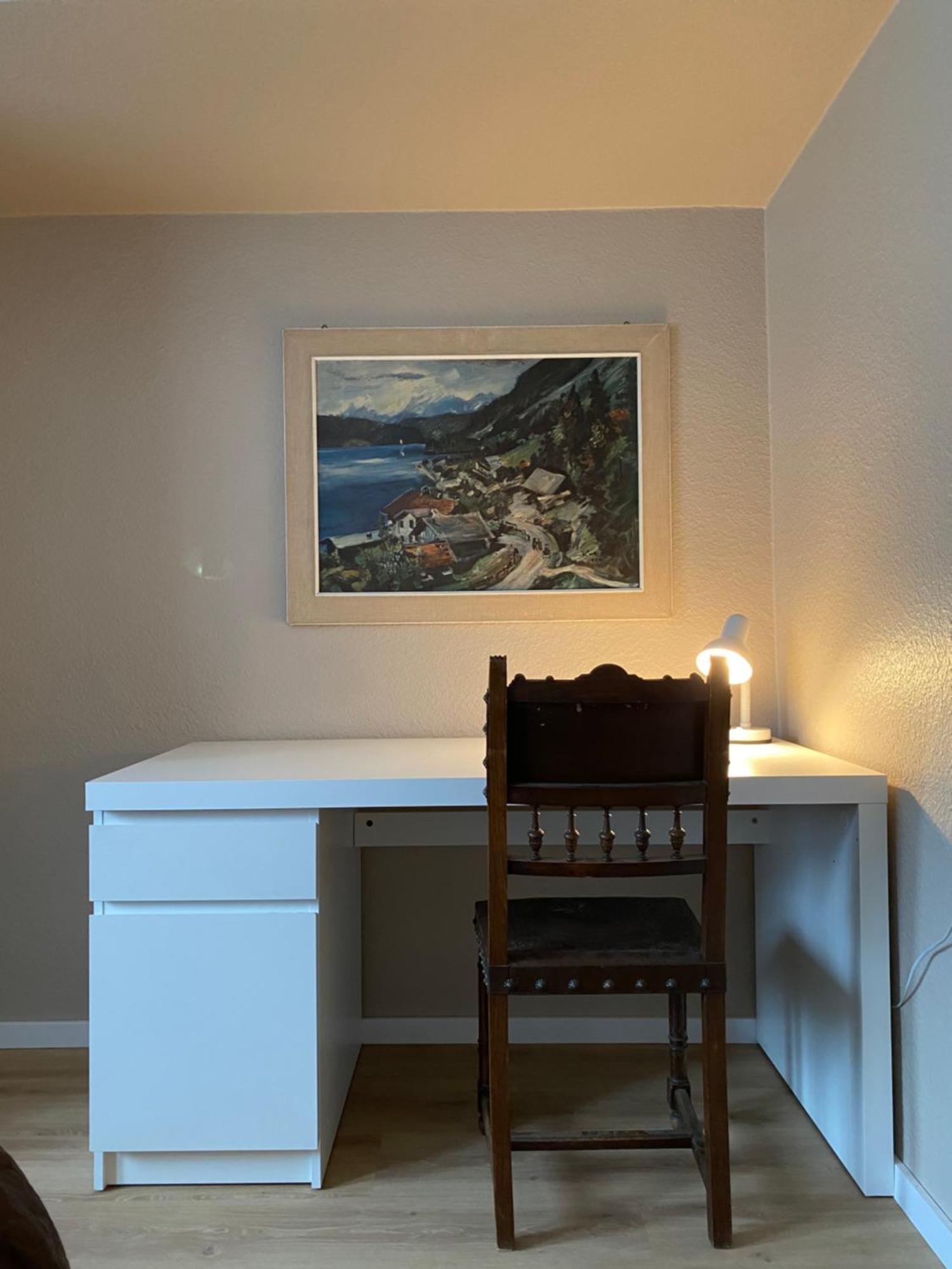 S-Villa Apartments Im Schwarzwald Schiltach Zewnętrze zdjęcie