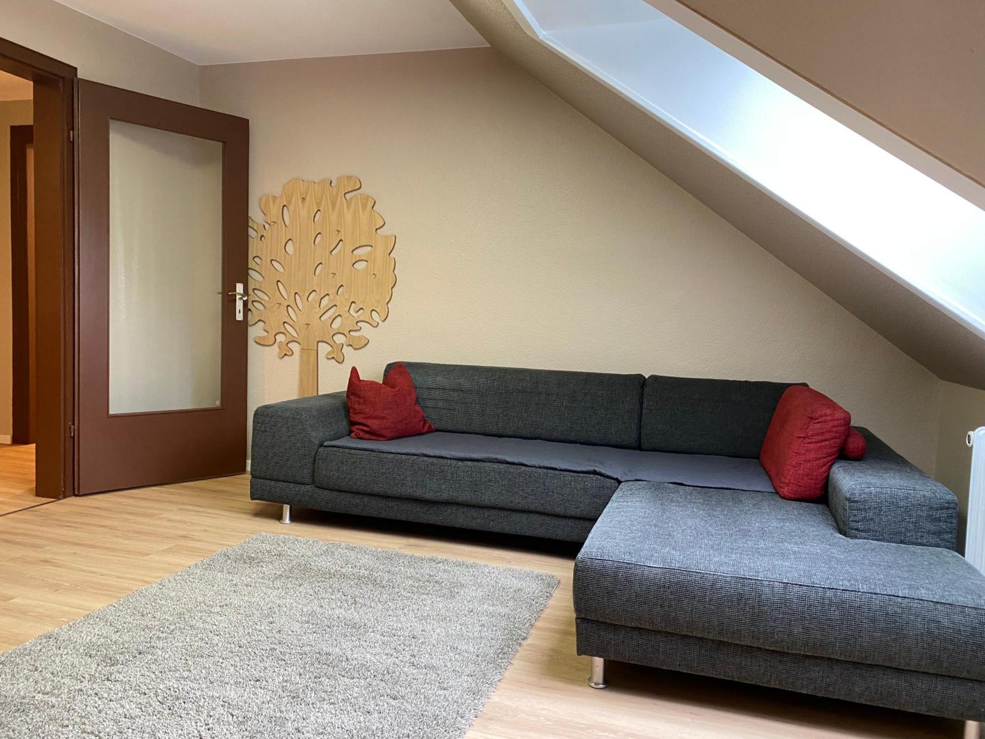 S-Villa Apartments Im Schwarzwald Schiltach Zewnętrze zdjęcie