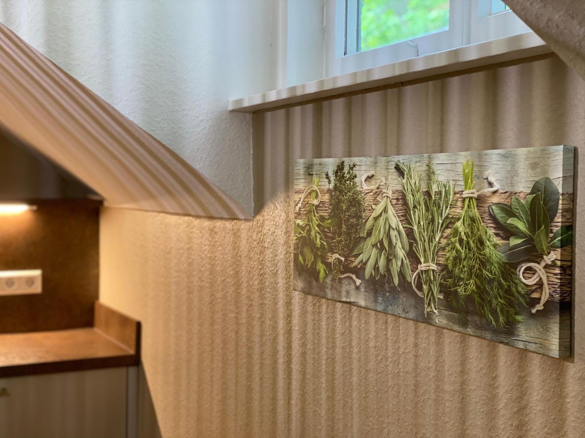 S-Villa Apartments Im Schwarzwald Schiltach Zewnętrze zdjęcie